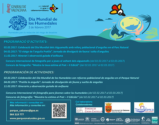 El Parque Natural del Prat de Cabanes-Torreblanca celebra el Día Mundial de los humedales con una suelta de anguilas