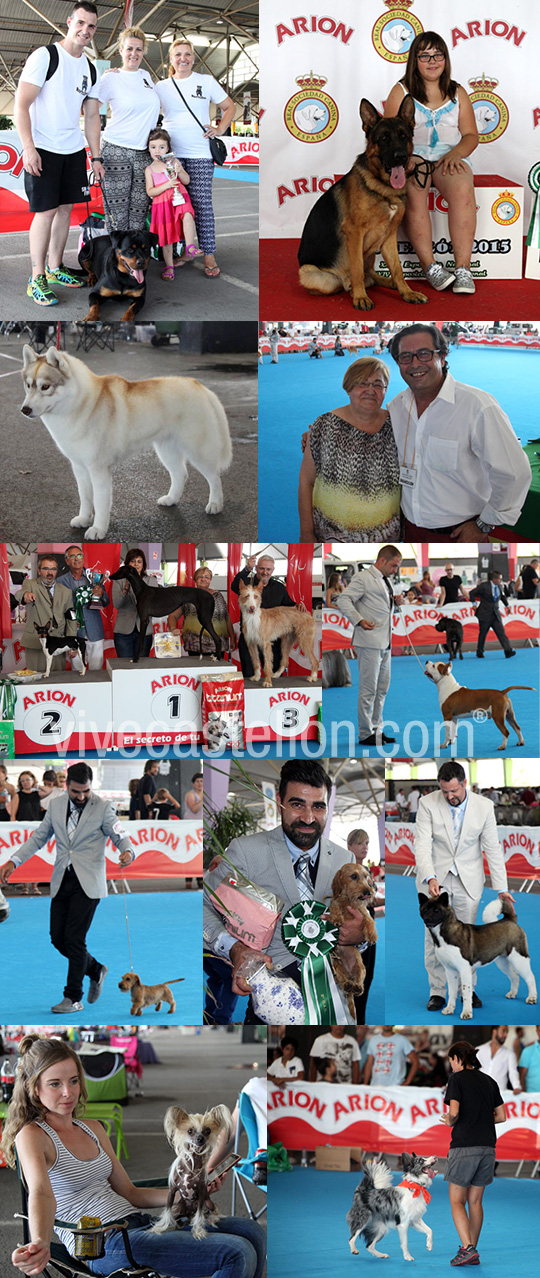 Exposición canina en Castellón