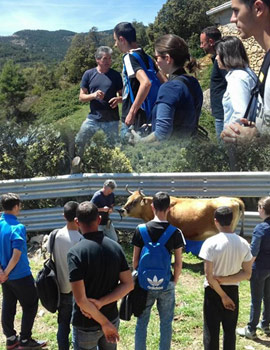 Alumnos  del instituto IES El Quint de Riba-Roja del Turia visitan la ganadería ecológica de Fernando Robres