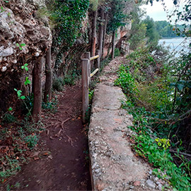 La ruta Botánica del Paisaje Protegido de la Desembocadura del río Mijares vuelve a estar abierta después de los problemas provocados por las lluvias