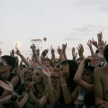 FIB HEINEKEN 2009