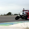 Calafat