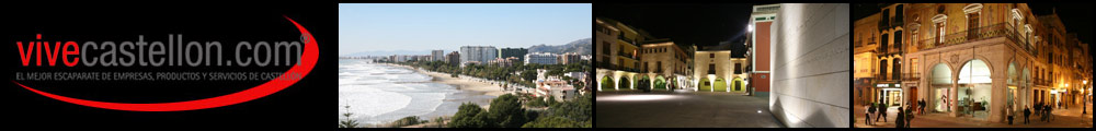 vivecastellon.com