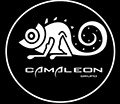 Grupo Camaleón castellon