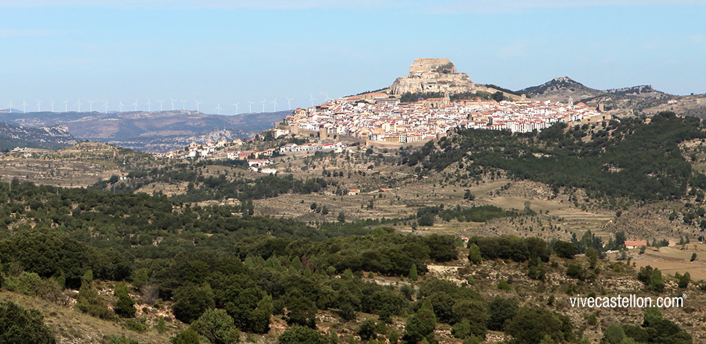 castellon, noticias castellon, empresas castellon