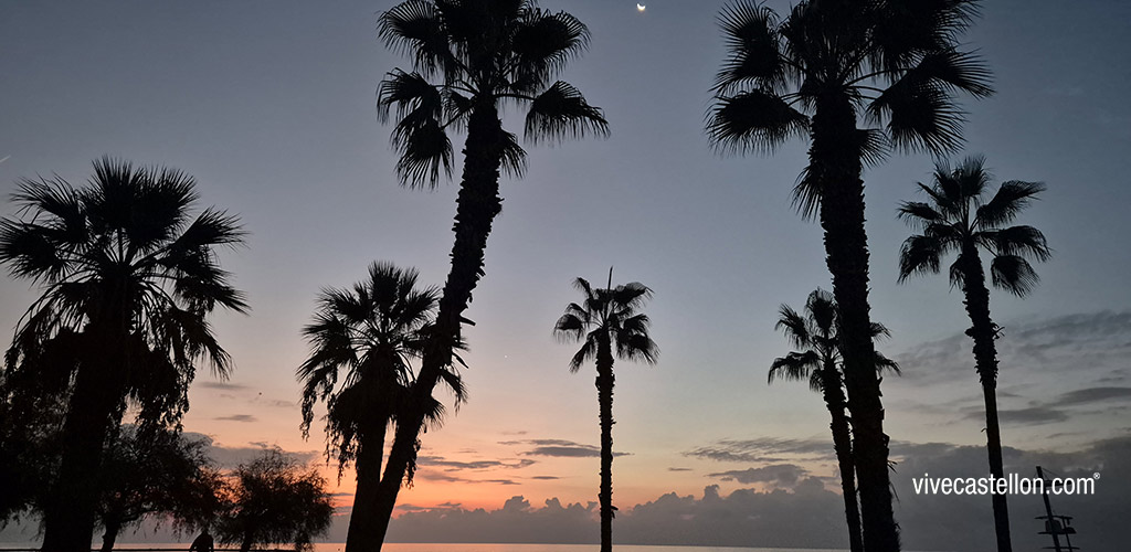 castellon, noticias castellon