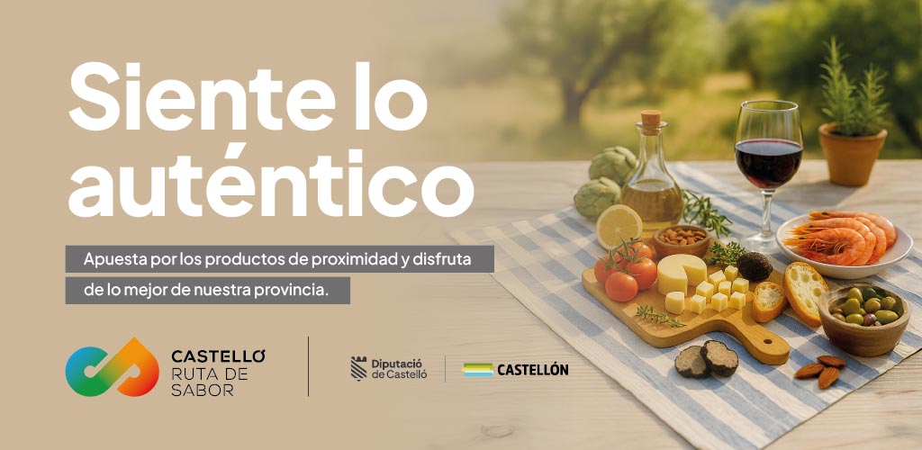 castellon, noticias castellon