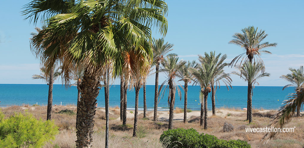 castellon, noticias castellon, empresas castellon