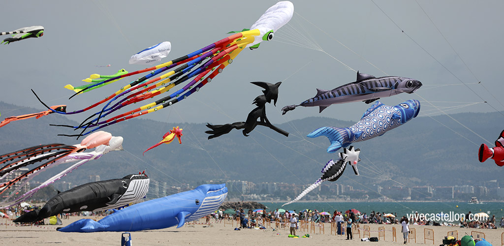 castellon, noticias castellon