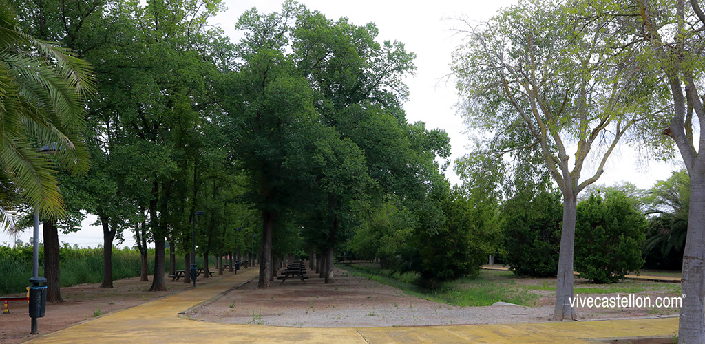 castellon, noticias castellon