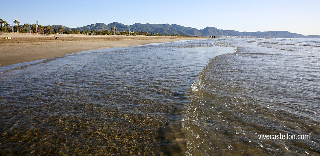 castellon, noticias castellon