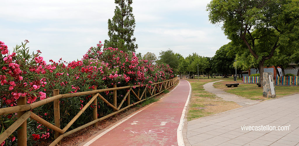 castellon, noticias castellon