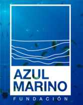 Fundación Azul Marino