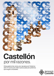 Ayuntamiento de Castellón