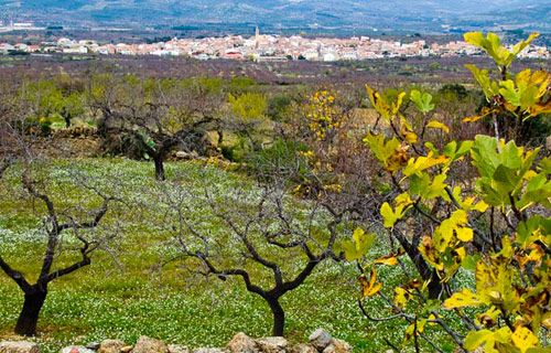 albocasser, turismo castellon, albocacer