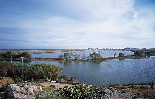 almenara castellon, Almenara Castellón