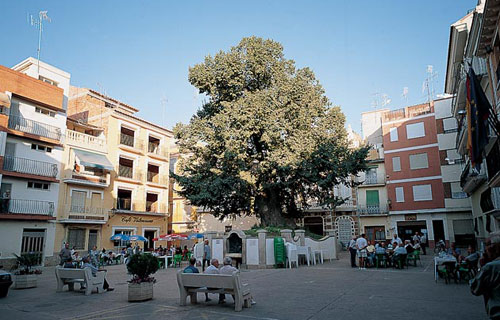 navajas castellon, Navajas Castellón