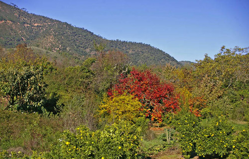 Eslida, Castellón