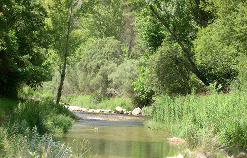 Teresa, Castellón