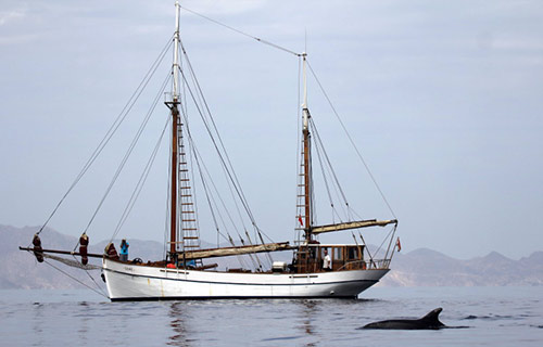 Fundación Azul Marino