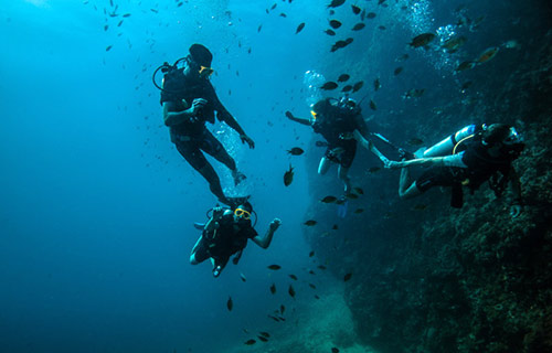 Fundación Azul Marino