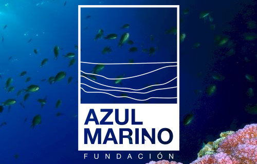 Fundación Azul Marino