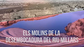 Los molinos de la desembocadura del río Mijares