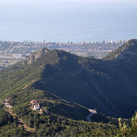 Somos Benicàssim, Somos Medioambiente