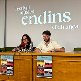Endins, festival musical