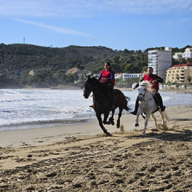 Festividad de Sant Antoni