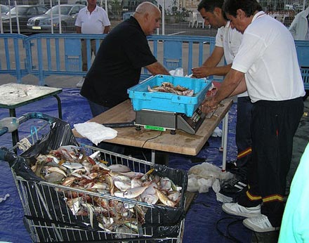 campeonato pesca oropesa castellon