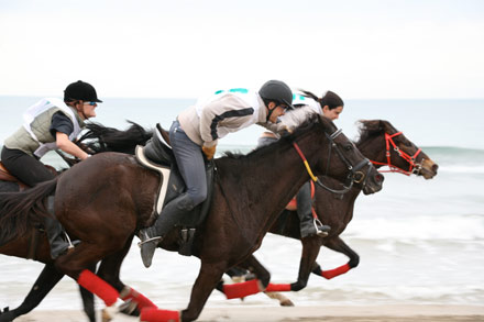 reportajes fotograficos carreras caballos