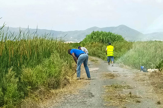 El Ayuntamiento de Almenara impulsará la contratación de 20 personas a través del programa de empleo agrario