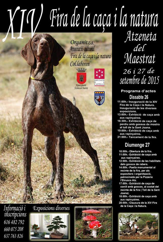Castellón, Atzeneta del Maestrat Castellón, Atzeneta del Maestrat