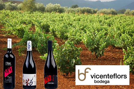 Visita y cata en les Useres, un plan perfecto Visita y cata en les Useres, un plan perfecto