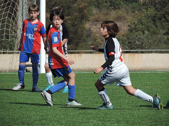 cinco equipos del CD Castellón participarán en la Yellow Cup cinco equipos del CD Castellón participarán en la Yellow Cup