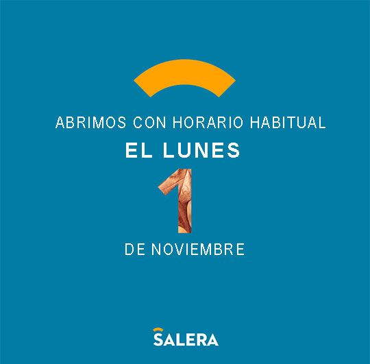 vivecastellon.com