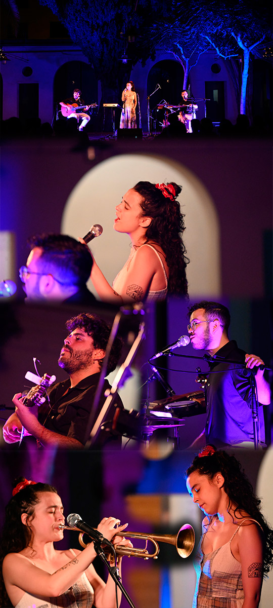 Concierto a Alba Armengou en el Museu de Belles Arts de Castelló 