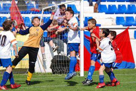 futbol sala castellon