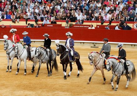 magdalena 2011 corrida rejones toros