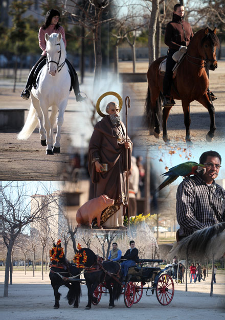 festividad san antonio