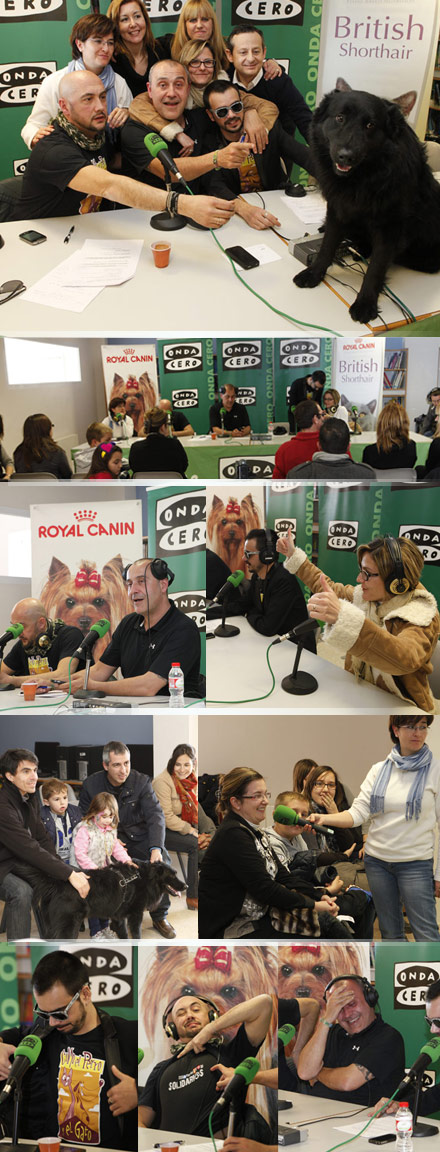 Castellón, LAUDE BRITISH SCHOOL OF VILA-REAL Castellón, LAUDE BRITISH SCHOOL OF VILA-REAL