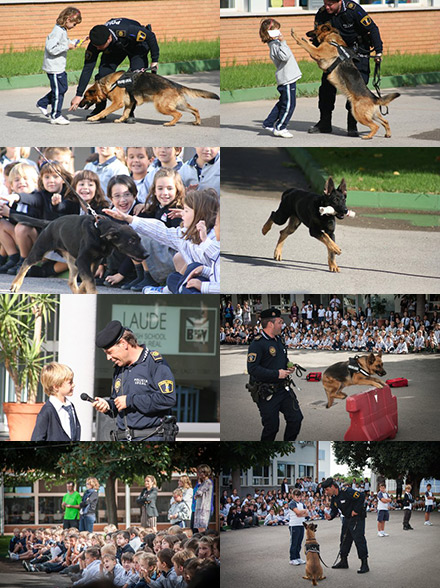 La unidad canina de la policia de Vila-real visita Laude BSV