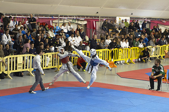 VII Open de Taekwondo de la Comunitat Valenciana