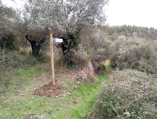 Montán refuerza apuesta por las rutas saludables y la mejora del entorno natural con nuevas actuaciones y señalización direccional