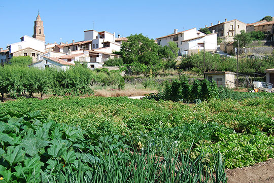 El viernes arrancan las Fiestas de Xiva