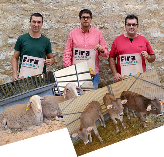 763ª Fira de Morella vivecastellon