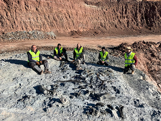 Nuevos restos de dinosaurios ornitópodos en las minas de arcilla de Morella Nuevos restos de dinosaurios ornitópodos en las minas de arcilla de Morella