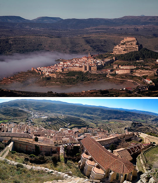 Morella