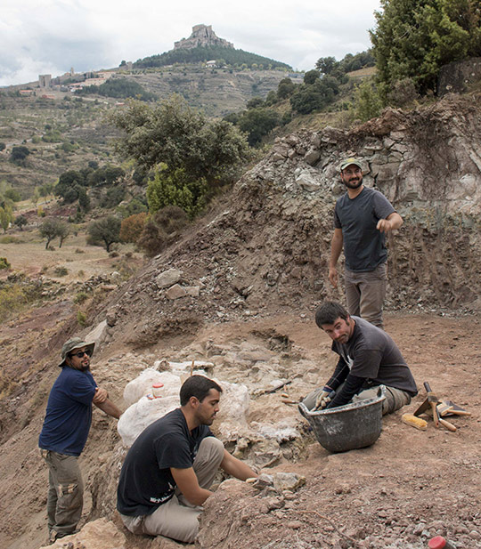 Se descubre un nuevo yacimiento de dinosaurios en Morella